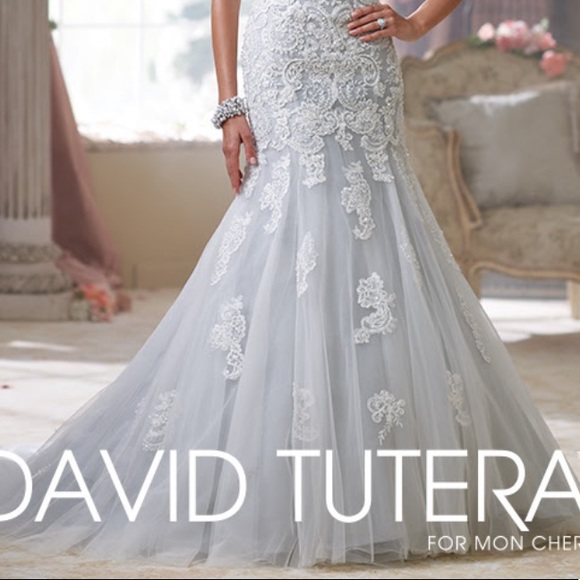 David Tutera Wedding Gown soft baby blue underly - Picture 12 of 15
